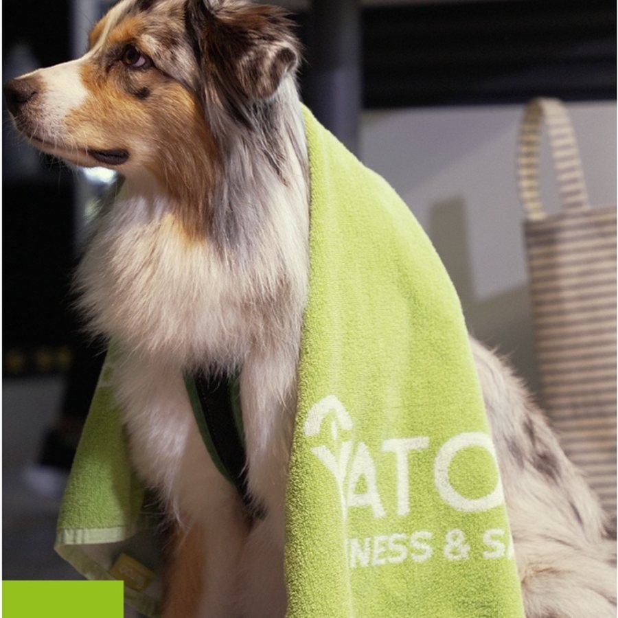 Yatoo Fitness — contenu social 2